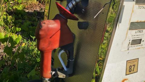 2021 - C8CD902C-172A-42A9-BBF2-9668B4E330F5.jpeg