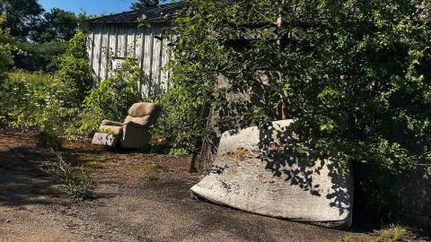 2021 - 6CE5FAA7-A27F-49F7-A122-8DBAD4678015.jpeg