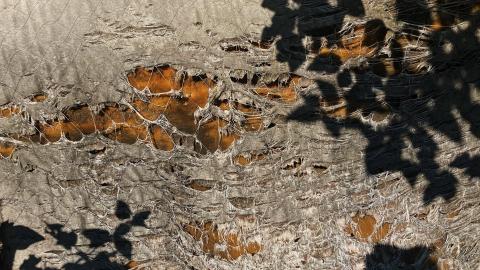 2021 - D2B74ADB-B119-4E9C-885F-626ACE0A4568.jpeg