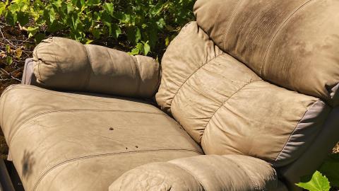 2021 - 4E1FDB78-0FF7-4DE4-93FA-AC672BC8F713.jpeg