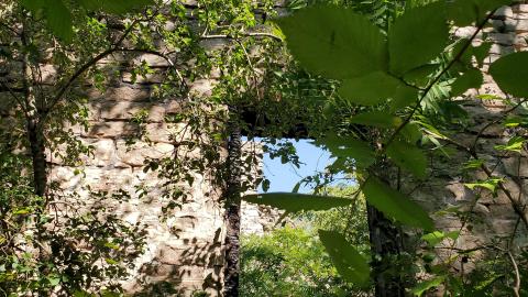 Photo from Ruins In The Forest