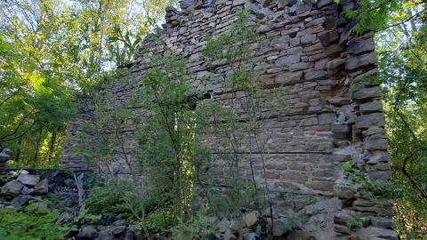 Ruins In The Forest - 20210802_093007.jpg
