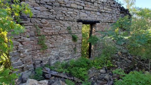 Ruins In The Forest - 20210802_093226.jpg