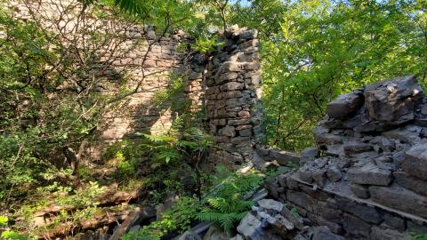 Photo from Ruins In The Forest