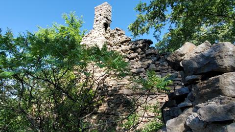 Photo from Ruins In The Forest