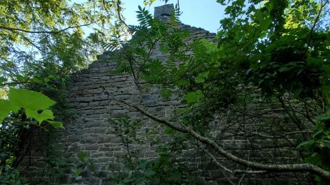 Ruins In The Forest - 20210802_093455.jpg