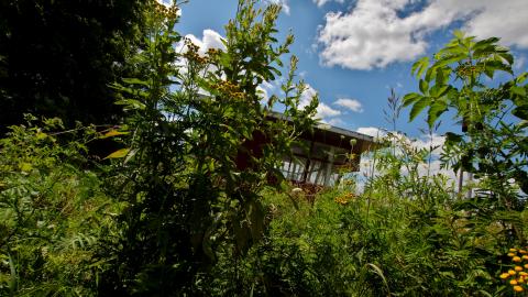 Why Have They No KARE? - IMG_4279.JPG