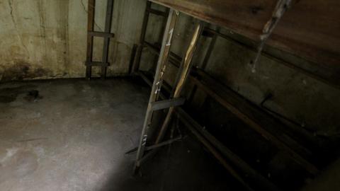 Why Have They No KARE? - IMG_4300.JPG