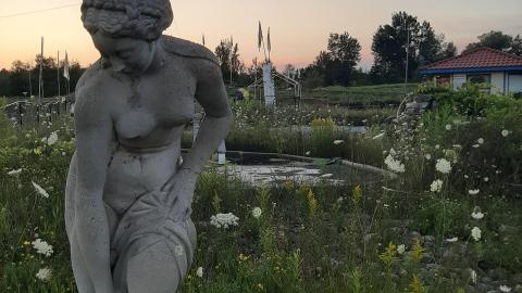 Shanty Bay GoKarts - 20210803_202544.jpg