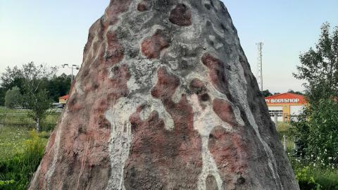 Shanty Bay GoKarts - 20210803_202502.jpg