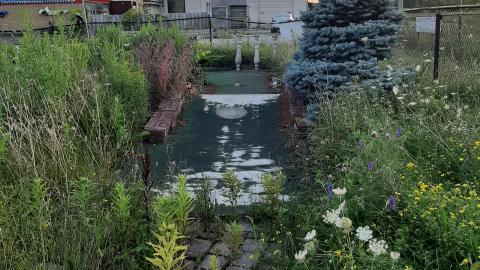 Shanty Bay GoKarts - 20210803_202316.jpg