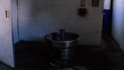 06/05/21 - IMG_1213.JPG