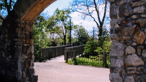 The Crash Course - IMG_1075.JPG