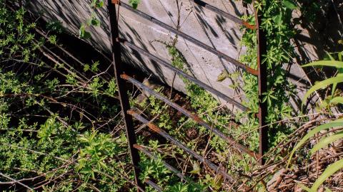 The Crash Course - IMG_1076.JPG