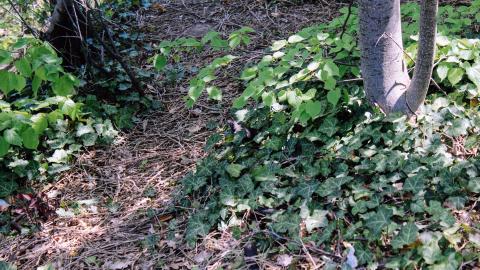 The Crash Course - IMG_1079.JPG