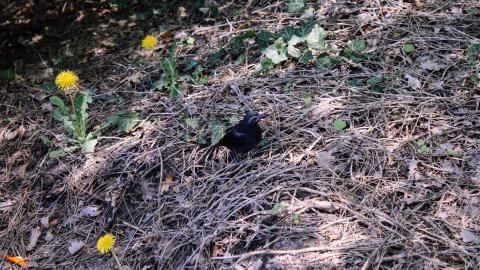 The Crash Course - IMG_1082.JPG