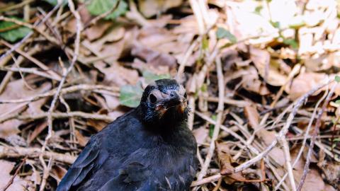 The Crash Course - IMG_1088.JPG