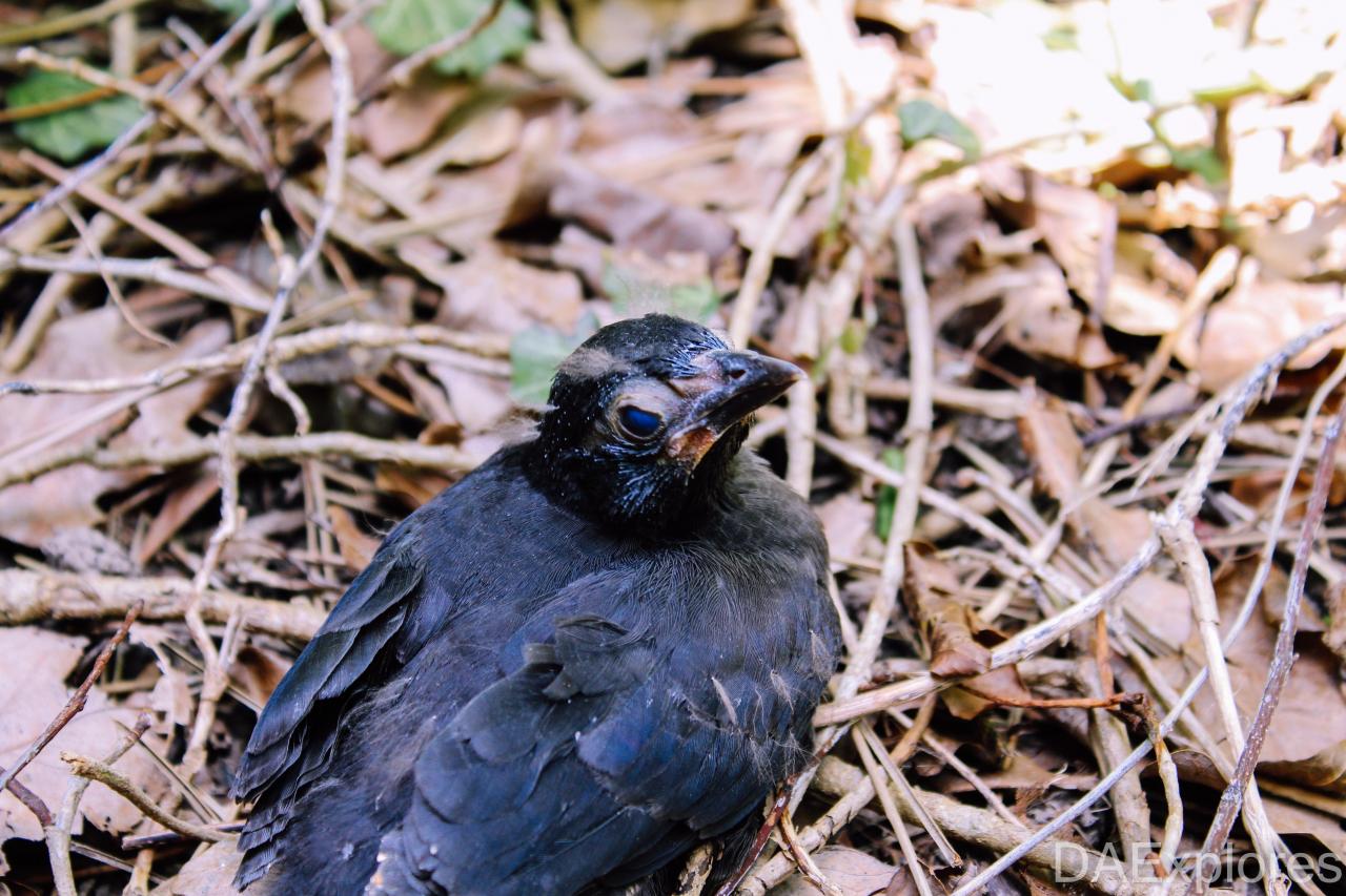 The Crash Course - IMG_1089.JPG