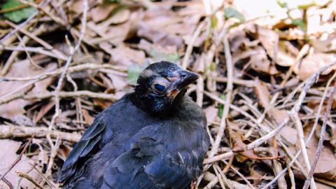 The Crash Course - IMG_1089.JPG