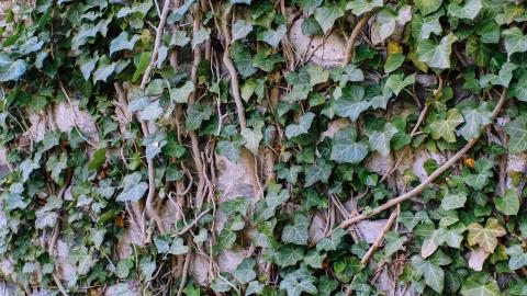 The Crash Course - IMG_1094.JPG