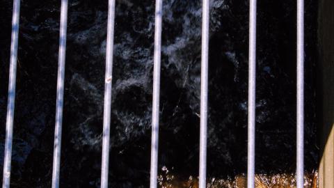 The Crash Course - IMG_1096.JPG