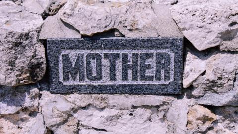 The Crash Course - IMG_1097.JPG