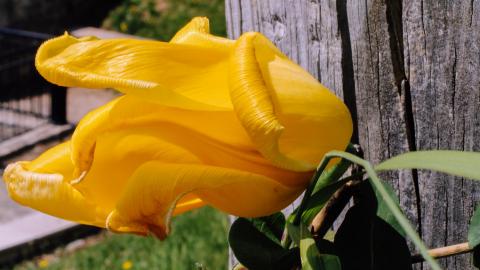 The Crash Course - IMG_1098.JPG