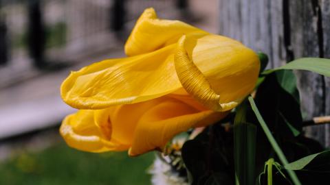 The Crash Course - IMG_1099.JPG