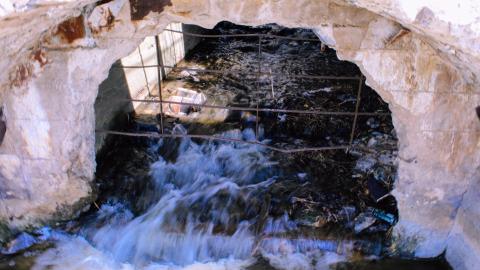 The Crash Course - IMG_1103.JPG