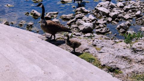 The Crash Course - IMG_1104.JPG