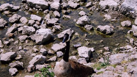 The Crash Course - IMG_1105.JPG