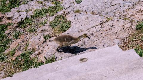 The Crash Course - IMG_1106.JPG