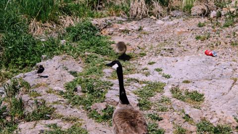 The Crash Course - IMG_1107.JPG