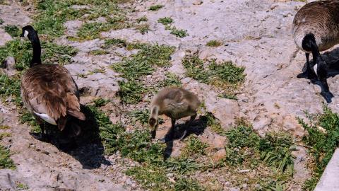 The Crash Course - IMG_1108.JPG