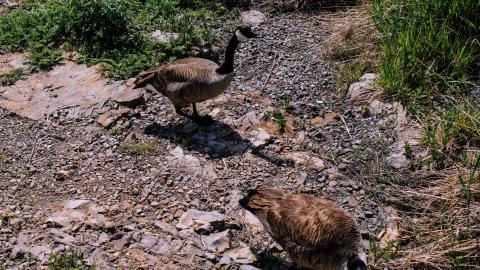 The Crash Course - IMG_1110.JPG