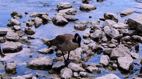 The Crash Course - IMG_1116.JPG