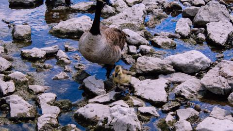 The Crash Course - IMG_1117.JPG