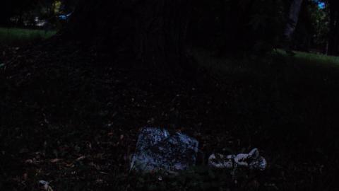 Photo from Paying Respects