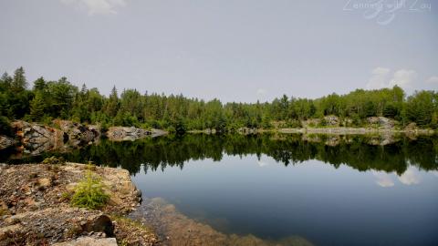 2021 - Collages16.jpg