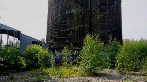 2021 - Collages22.jpg