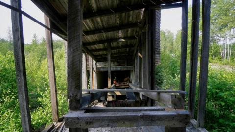 2021 - Collages29.jpg