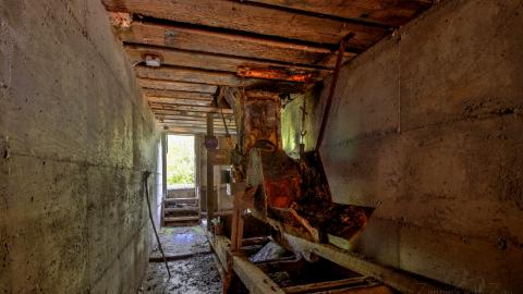 2021 - Collages31.jpg