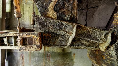 2021 - Collages33.jpg