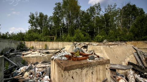 2021 - Collages39.jpg