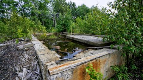 2021 - Collages45.jpg