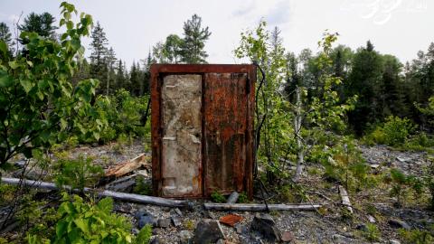 2021 - Collages50.jpg