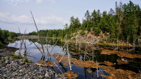 2021 - Collages54.jpg