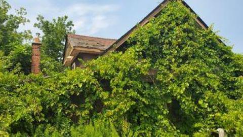 Atlas Auto Collision July 2021 - 217910802_1212406209278625_4765600456445202614_n.jpg