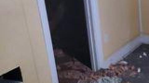 Atlas Auto Collision July 2021 - 219242834_3098329133787451_7225639614461867634_n.jpg