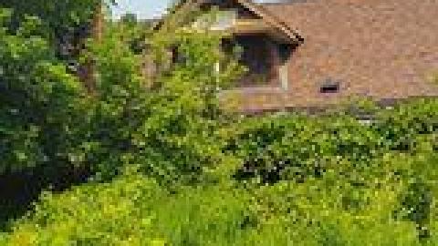 Atlas Auto Collision July 2021 - 219297720_913184562963027_8658468498110257068_n.jpg